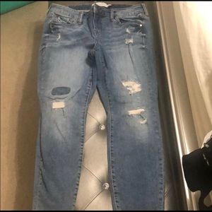Torrid Jeans